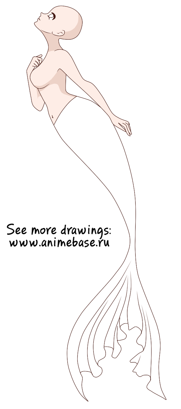 Female body base Mermaid (my style) by Toonfoxhero151 -- Fur